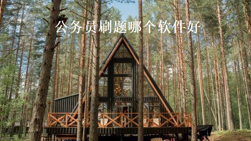 公务员刷题哪个软件好